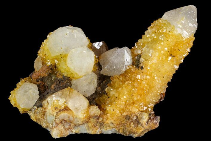 Sunshine Cactus Quartz Crystal Cluster - South Africa #122364